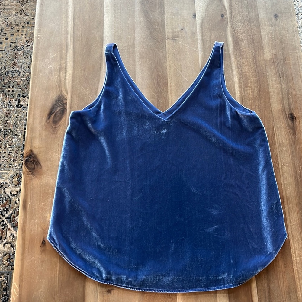 Blue velvet top.